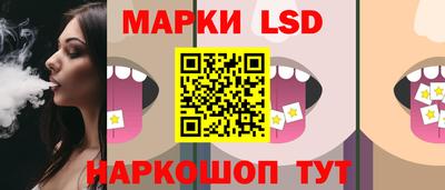 дмт Будённовск
