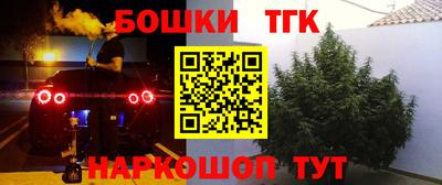 дмт Будённовск